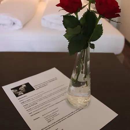 Ferrum Ferrum 4* Valkenburg aan de Geul